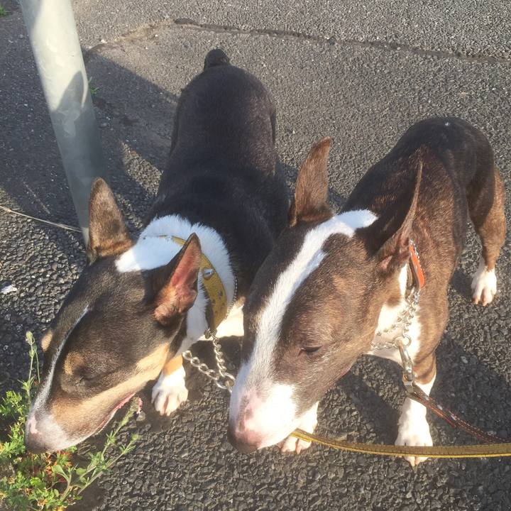 01ac9d7c bc82 4c46 8636 94857c5185a6