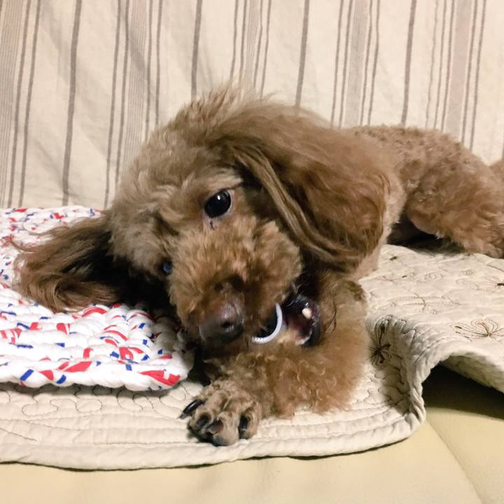 01ae6d27 bf01 4d04 9c0f 0bf9ce354159