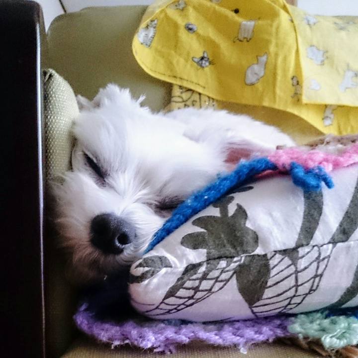 01aec8fc a9cb 4545 8382 98ba414a9a84