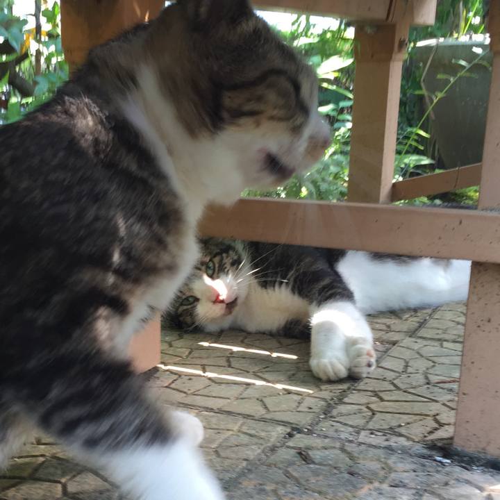 01af8227 aaa0 4c19 93c1 5d60fda1148b