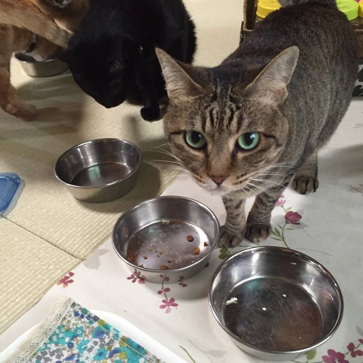 01afff50 e833 447a ae80 6719b16abaa3