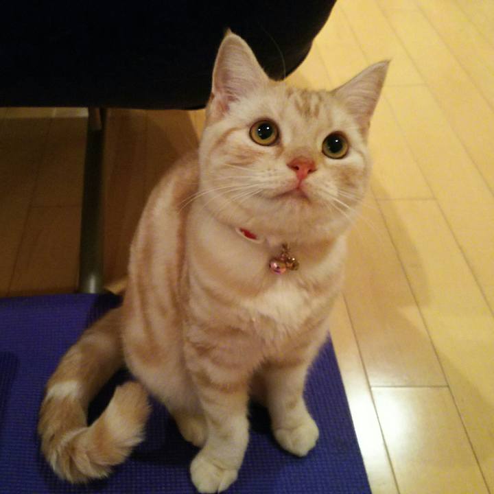 01b098b4 8478 4925 926f 6ec024513155