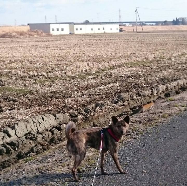 01b0b9a0 60ac 4347 9adf 9dede09ba7dd