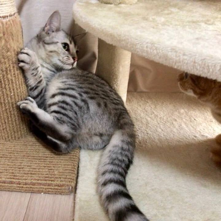 01b0c371 9bad 40d0 b5d8 e473351e608c