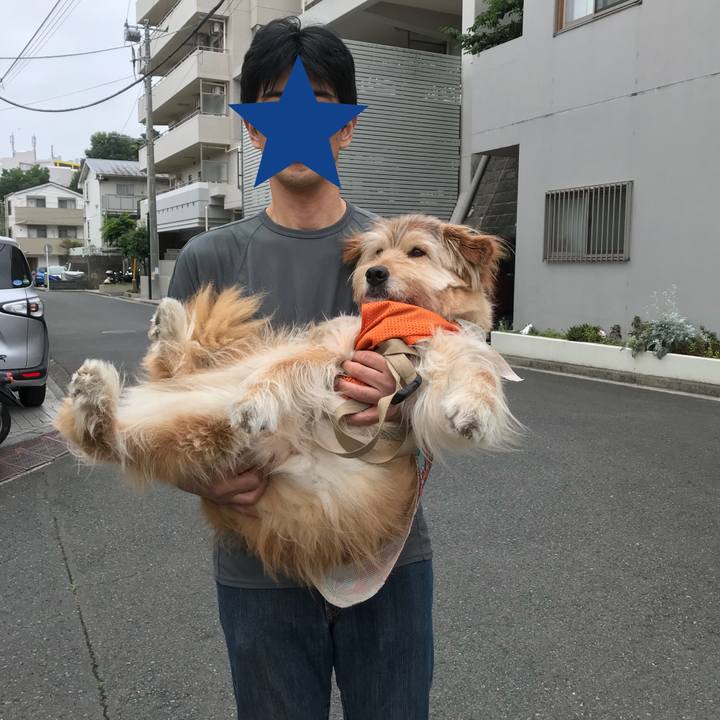 01b11704 7b5e 4956 a20a 32229dd7b408