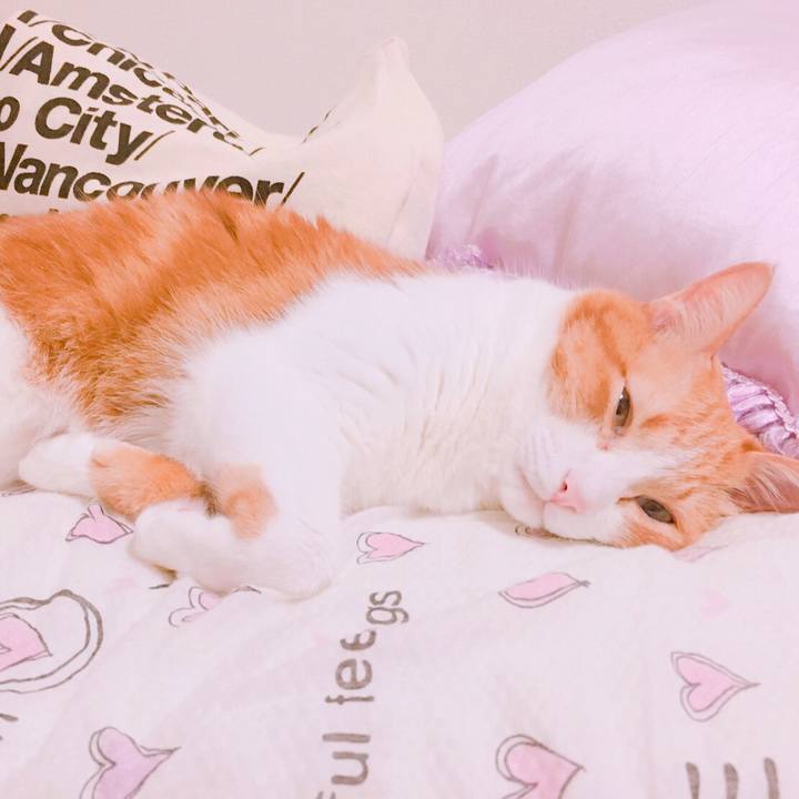 01b145d8 35f8 47ba a69c 71a597833982