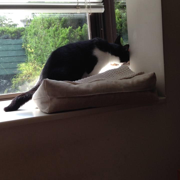 01b170a5 8c68 4c0d 8211 df39e83e63b7