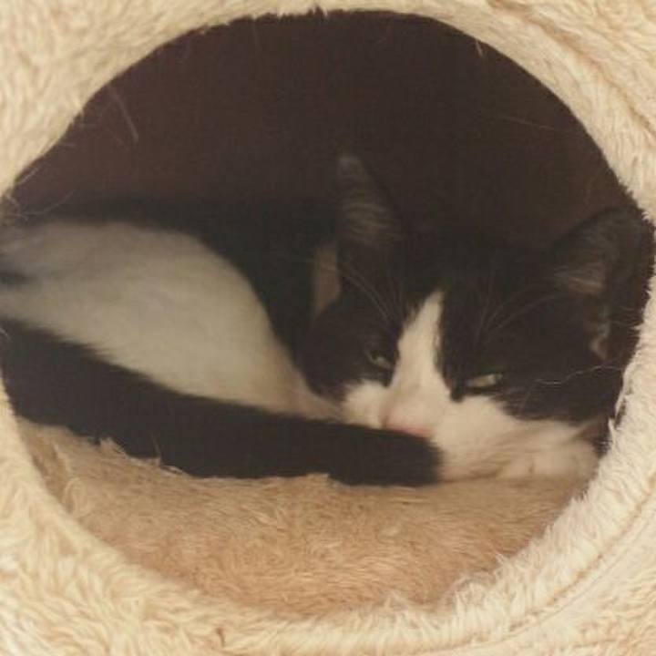 01b20e75 9539 4d4c 9a02 a49e4ac8746d