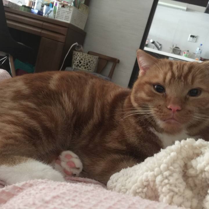 01b247de c674 491f 8ec2 37b183a468a5