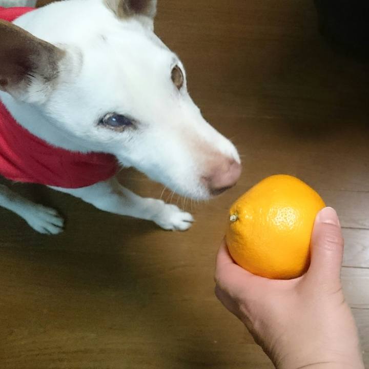 01b26536 c277 4dbe b035 bfe129650182