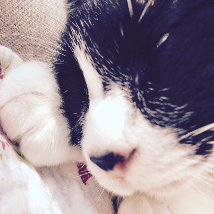 01b31991 5019 4f10 8e1e ba1b42709009