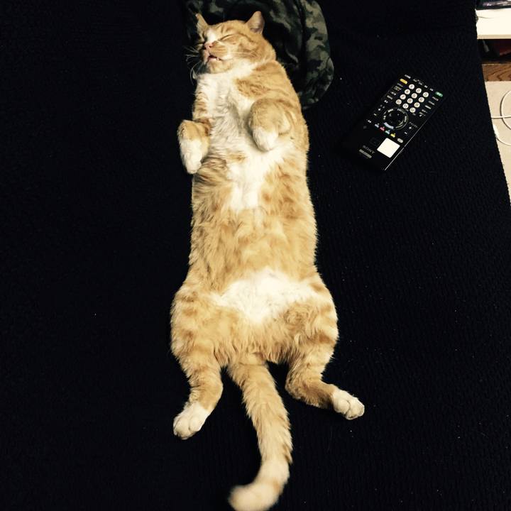 01b31a10 c1b3 48e5 b6ec 7ad99e9c9237