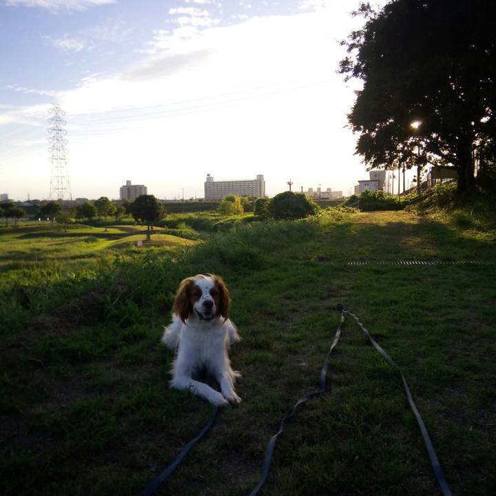 01b344e0 627f 4e27 b102 0f56745bfa3e