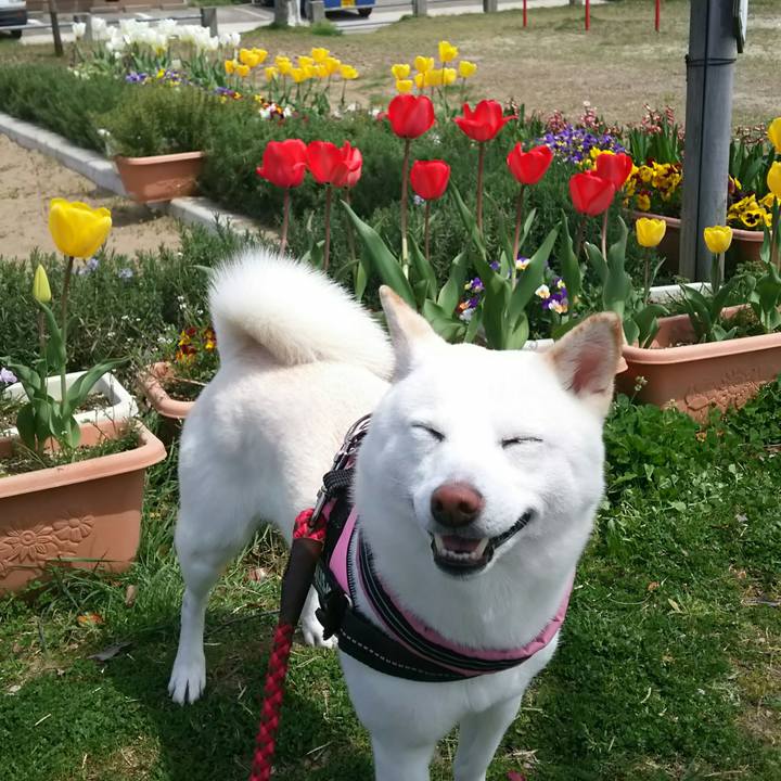 01b48120 74ef 4fe5 b5e7 bafa8f79f3eb