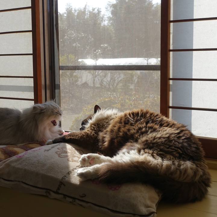 01b482e7 745b 4ba0 a18f 1524bac35321