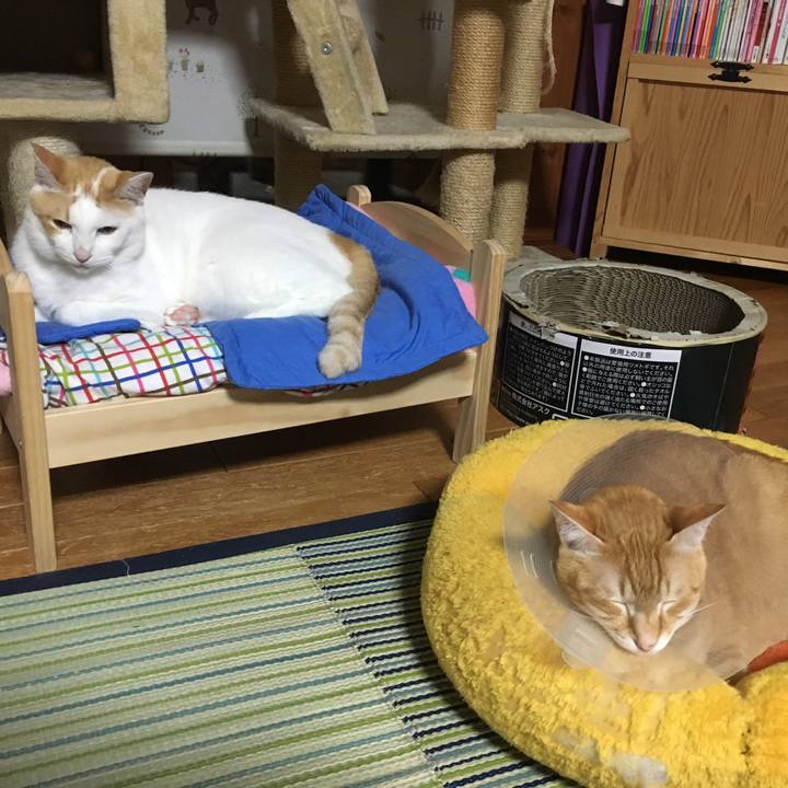 01b49688 4e59 476f a62b 6e95bd2baf52