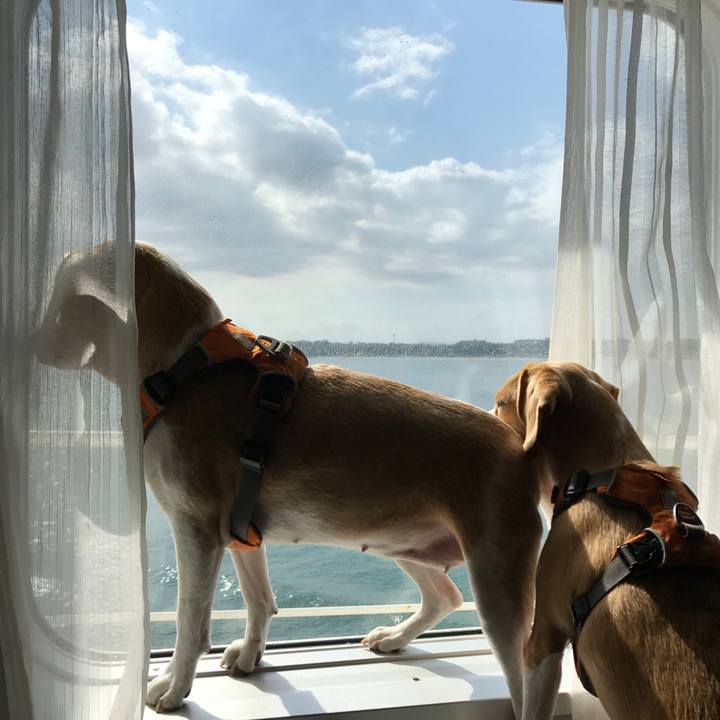 01b4ab67 f730 4e09 944b 9b4aa6cab8e6