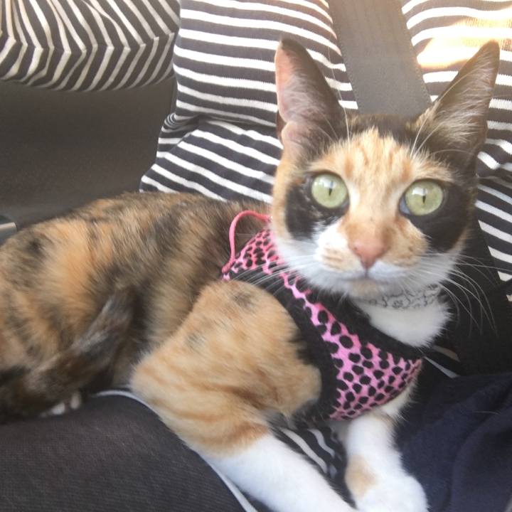 01b4d01f bb47 404a aae2 8cbf8a132e29