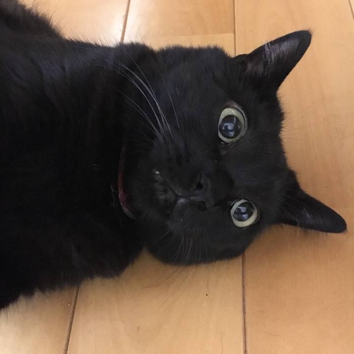 01b5b7b4 76d7 4780 a656 00458e335453