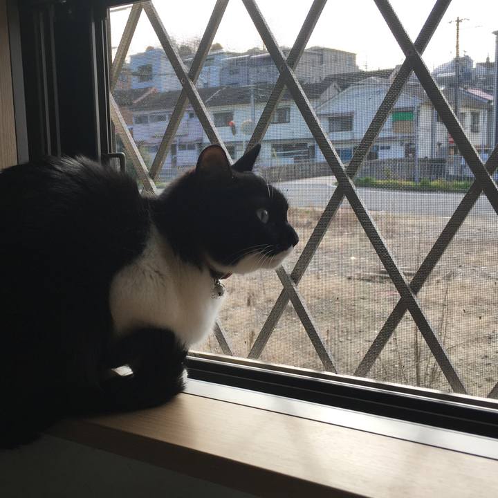 01b5cde7 7108 436b b02a cfcd43a4599b