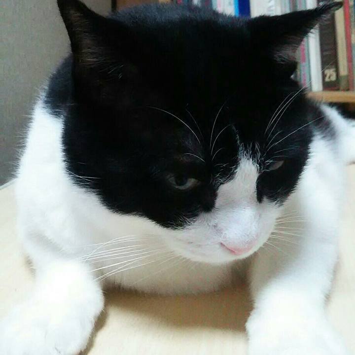 01b6458e defa 418c 8981 cc0e9b106fb5