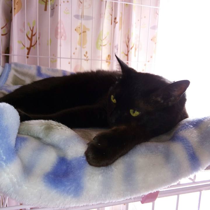 01b681e7 9bea 4dd3 8519 1398765837c4