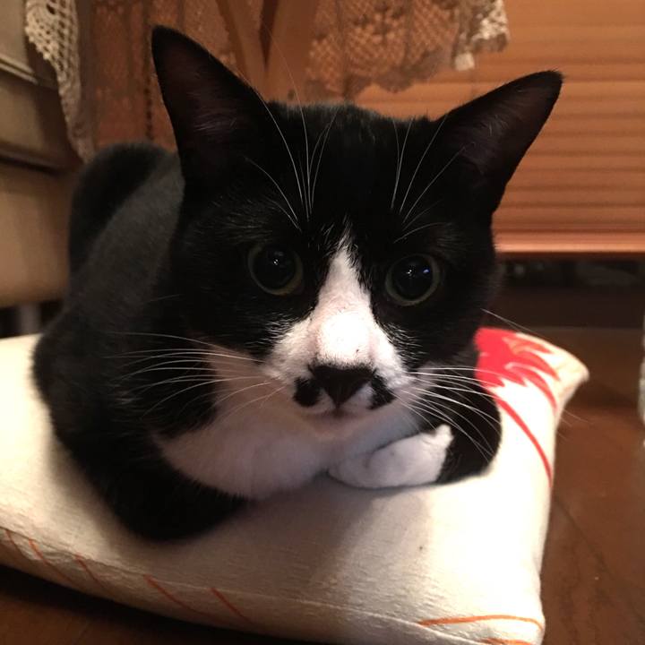 01b72fa5 ca0b 4a64 a72b f906dcc007d9