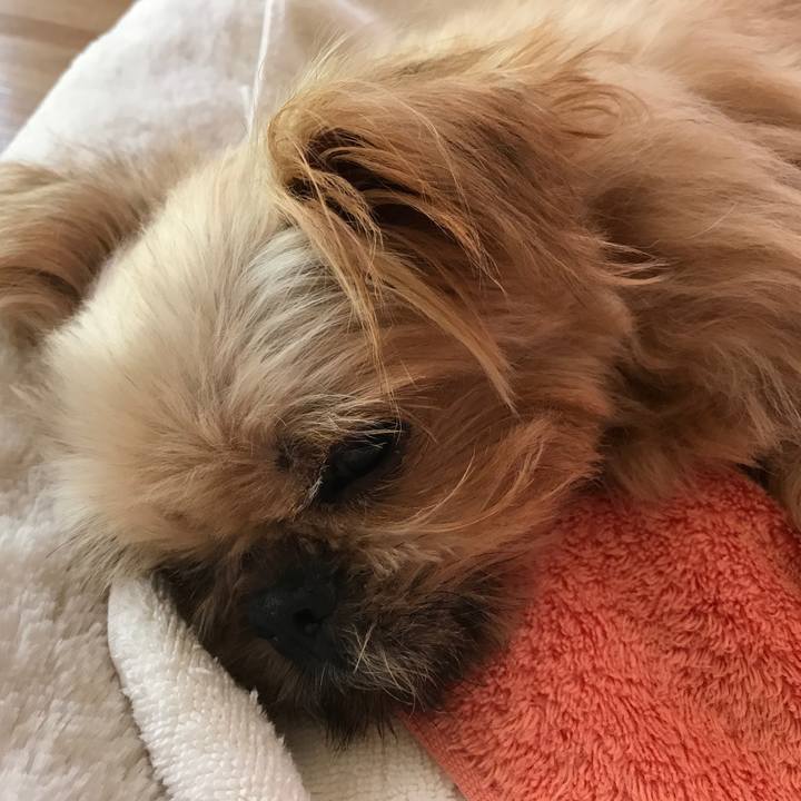 01b765fb 22ad 4ade b054 7bacfb1a280c