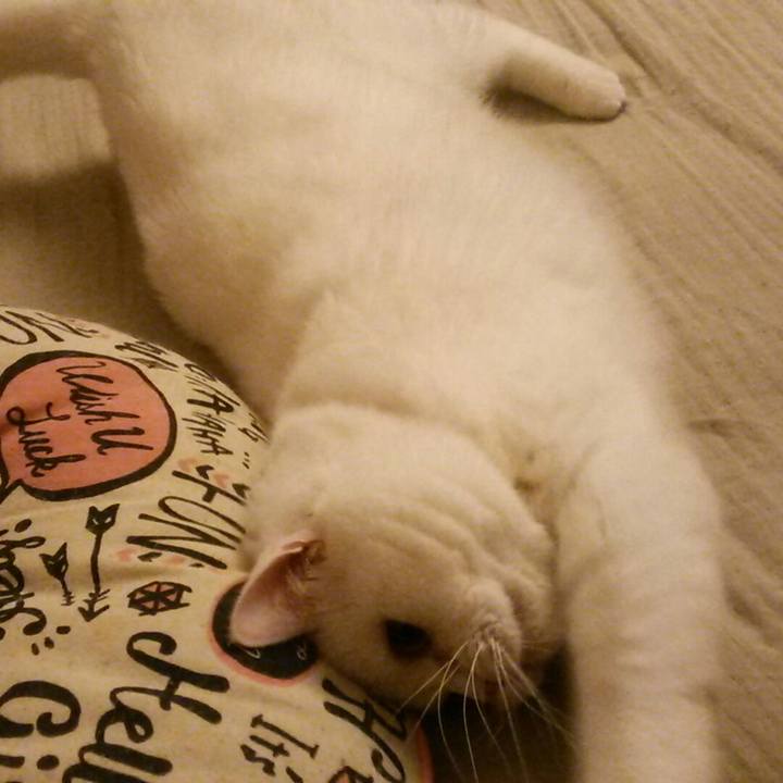 01b81e20 c052 435d 917f 0318e6bbbee4