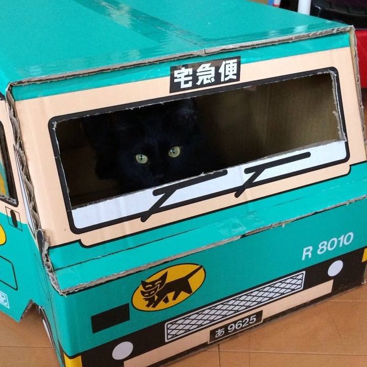 01b82560 4128 4f26 b617 eaf4b466593e