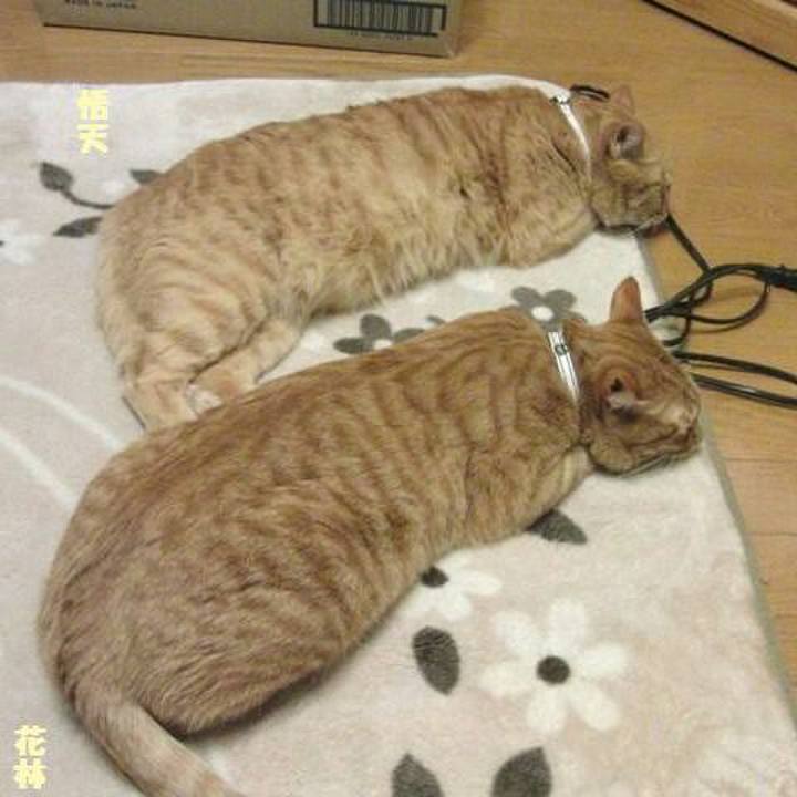 01b8bae0 42b0 4d8b b973 1dd944bffefa