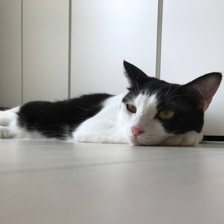 01b92ca7 e511 4886 b982 4a861dbb2845