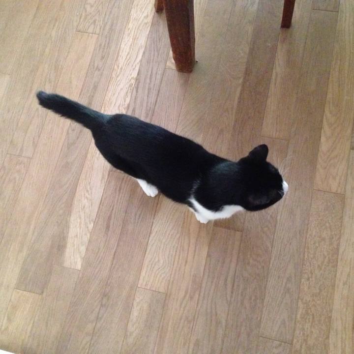 01b9432c c0fb 43c8 a870 a612c66f9831