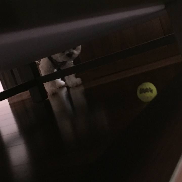 01b98456 f2ae 456c 9785 d5040208efec