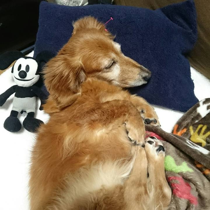 01b98fa0 ea24 460e 895e 66de178c6e26