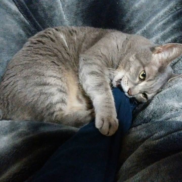 01ba261f 80e7 4c2d 9b97 12c17e23dda3