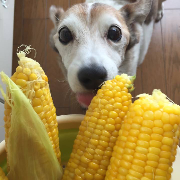 01ba7194 9ee8 4810 8f5f 1ddc0d3081a7