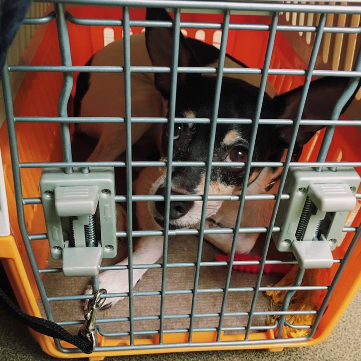 01bab15a dac2 4d0c 974d 4e6e8931386a