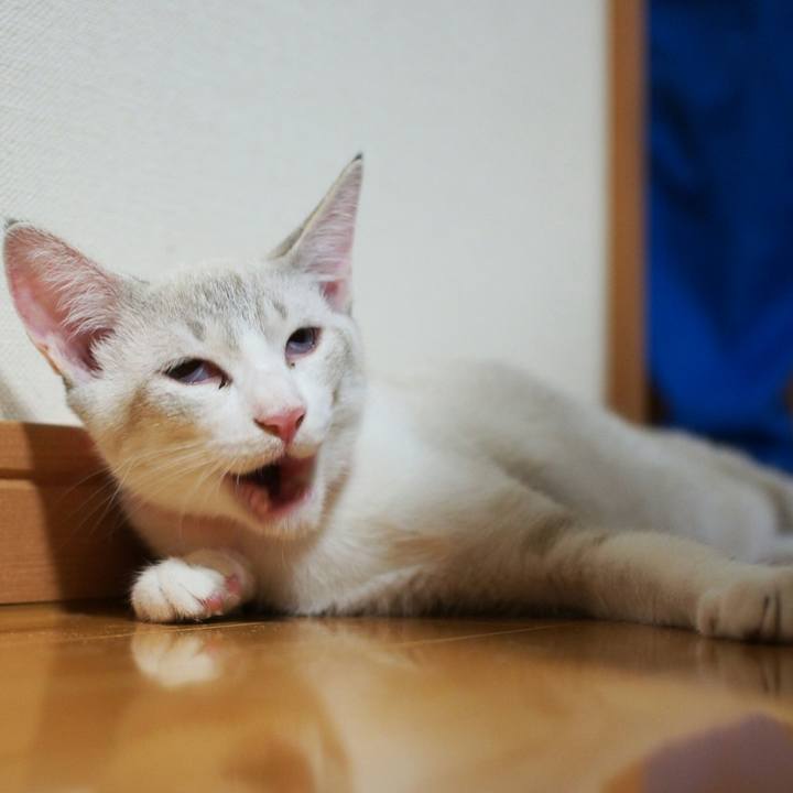 01bb363e abaf 4fff b293 fe59a42e7c2f