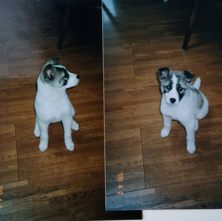 01bb3fe2 f897 4f58 926c 85544437876e