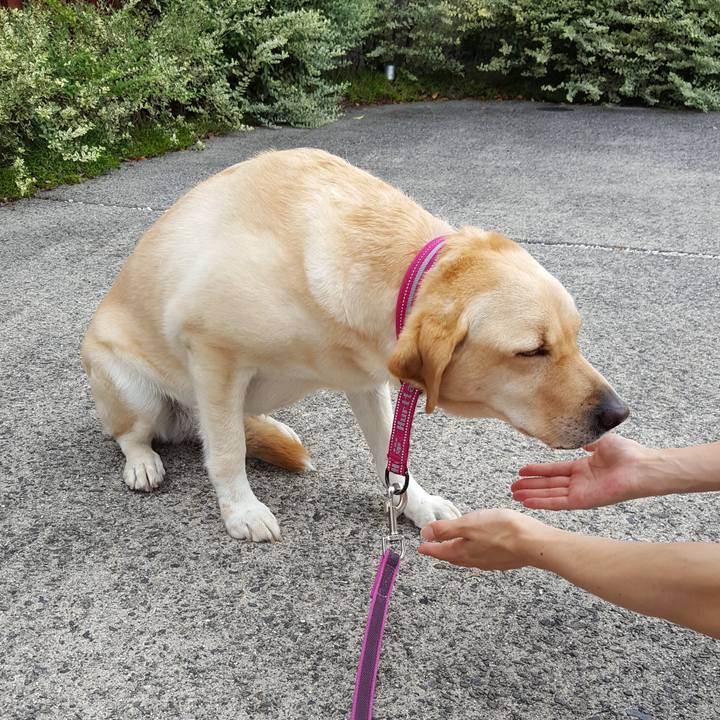 01bb79a0 adcd 4b6d 87cd 98458bdb1cb3