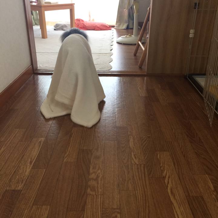 01bb92a8 5f47 4803 be91 de041bdae865