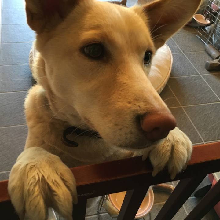 01bb9f9d e14c 4ab8 97a9 169f43862e5a