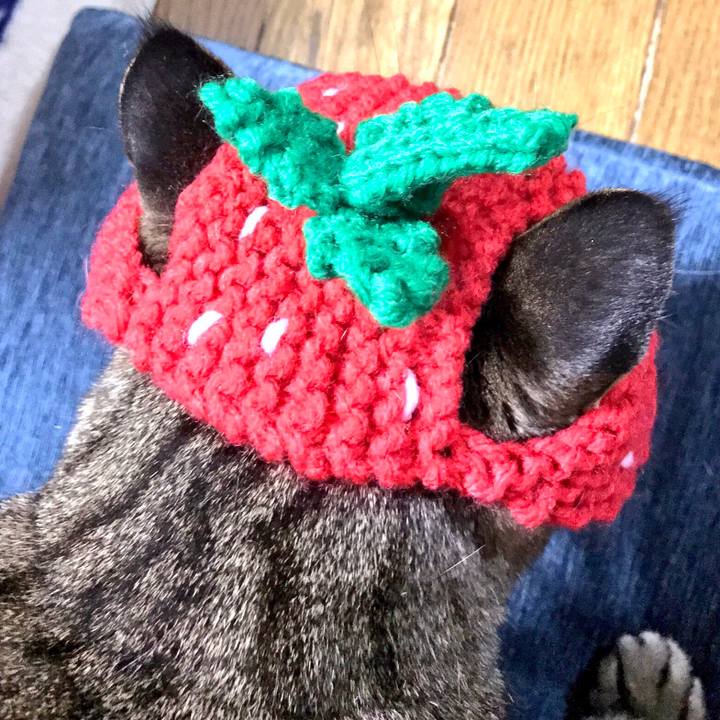 01bcaa5f 31d9 4f47 aad8 f280af4afed8