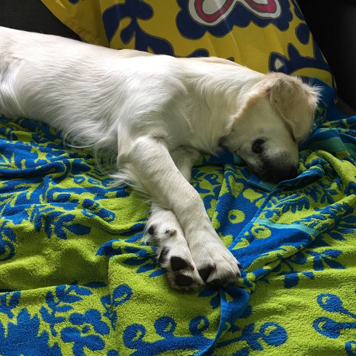 01be1bba a042 4eeb 8901 7a1d18937d65