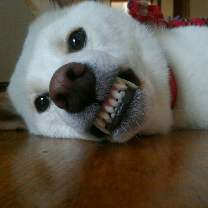 01be7ccf ba9d 48fc b7af c5da40e0323e