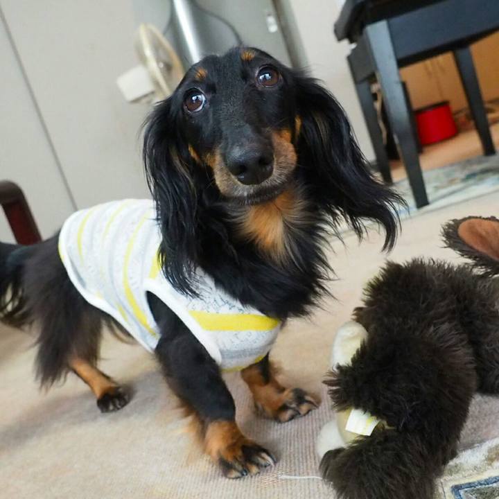 01be9d3c 49db 4b60 8e51 71ddd104233b