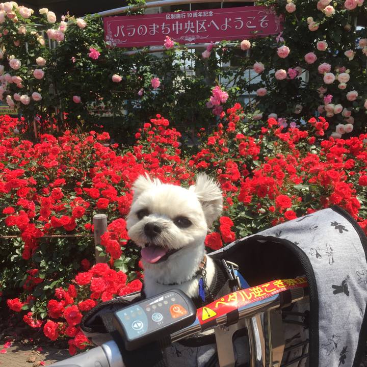 01becdd3 b012 4832 9b71 29ff147b3530