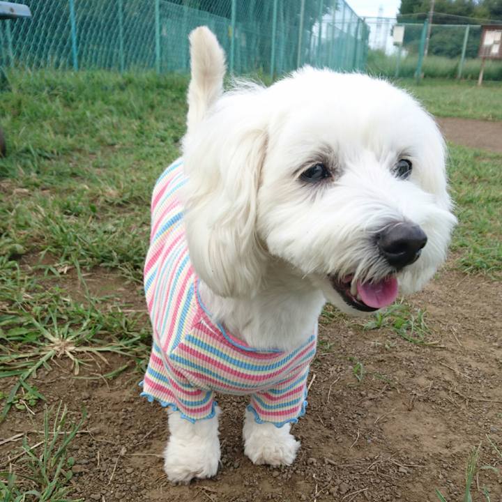 01bedcd6 75e8 4ea6 9386 eec8310a86b9