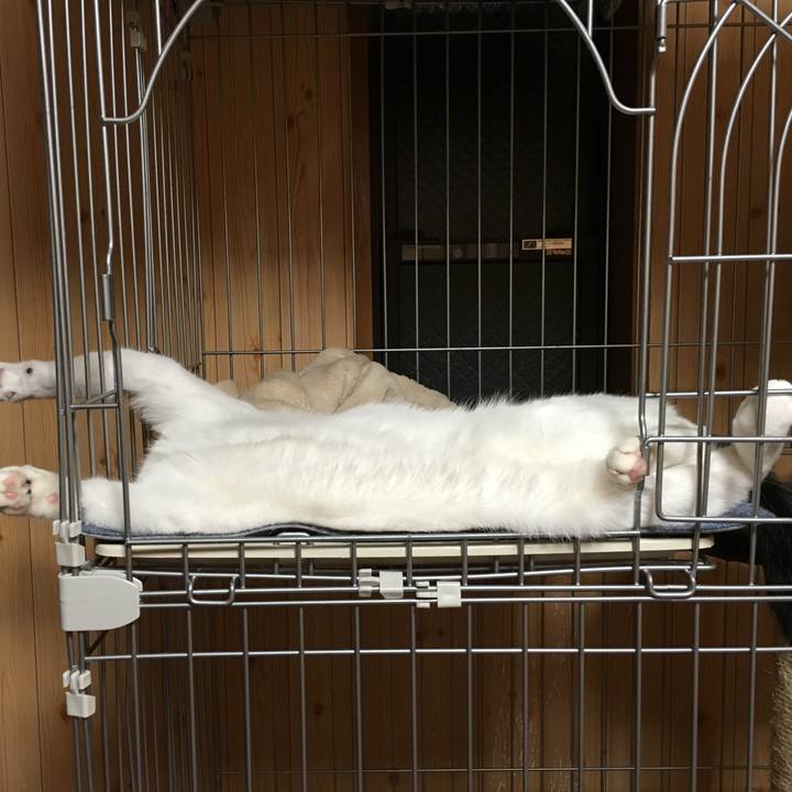 01befd07 1f8e 4621 806e b16fa8e4955a